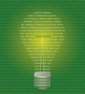 Energy Efficiency Light Bulb (sml)